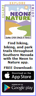 neon-to-nature-app-icon